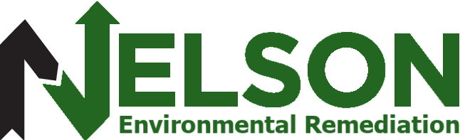 nelsonremediation.com